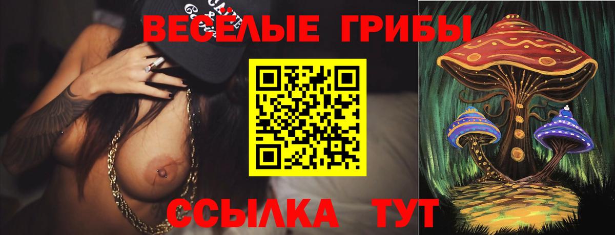 Псилоцибиновые грибы мицелий  Вход с VPN  где найти наркотики  Клин 